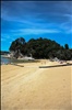 Abel Tasman National Park